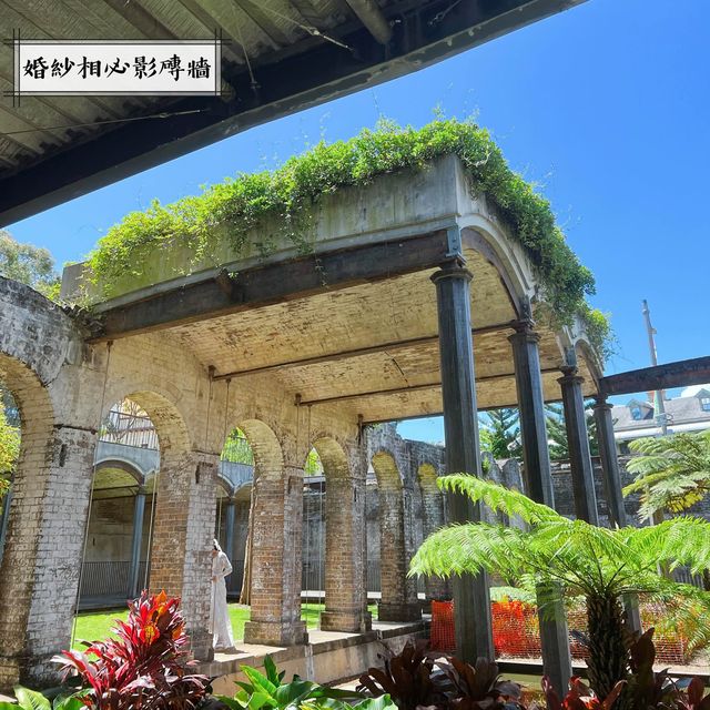 帕丁頓水庫花園 Paddington Reservoir Gardens 💐