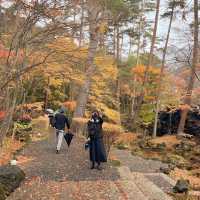 【河口湖】紅葉回廊がすごい。