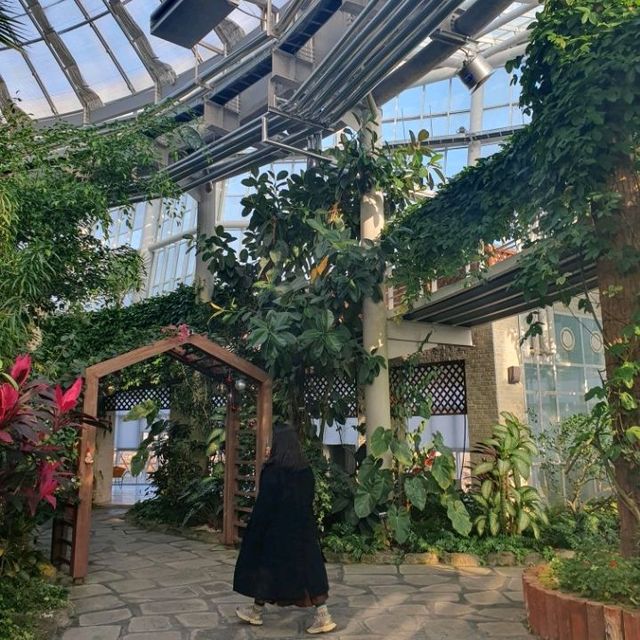 열대식물원에서 겨울에도 푸릇푸릇🌴