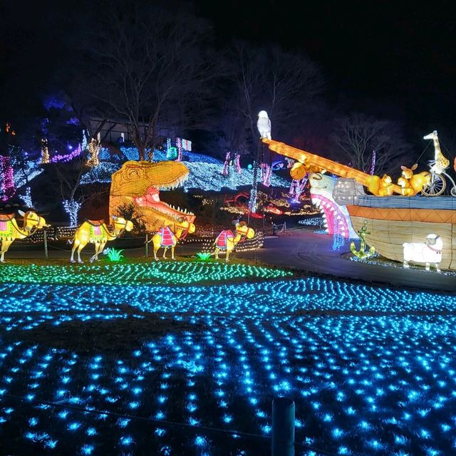 千葉県！東京ドイツ村のイルミネーション①