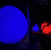 大阪長居植物園 Osaka Botanical Garden Teamlab 