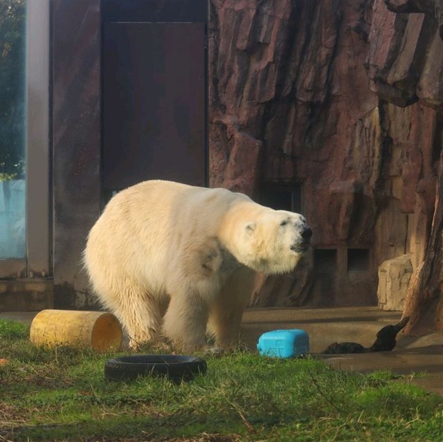 適合一家大細同朋友一齊去嘅動物園👍