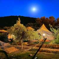 Tasty food with camp 