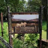 Wonderful Experience in Taiping Zoo