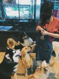 Dog Country Cafe สนุก ไม่จำกัดเวลา