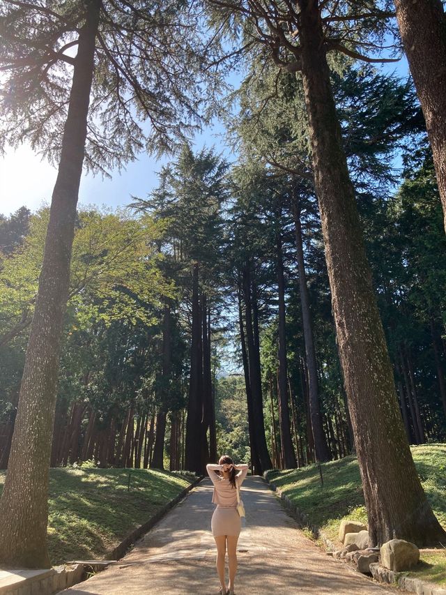 양산에 이런곳이?!