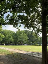 서울에서 나들이 즐기기 :: 서울숲🌱