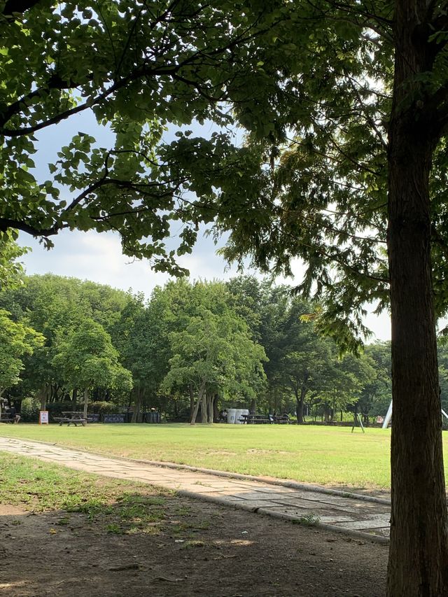 서울에서 나들이 즐기기 :: 서울숲🌱