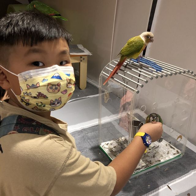 寵物嘉年華 🦜🐕🐿🦫🐕 寵物嘉年華 🦜🐕🐿🦫🐕