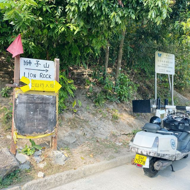 市區超級方便既行山路徑.獅子山