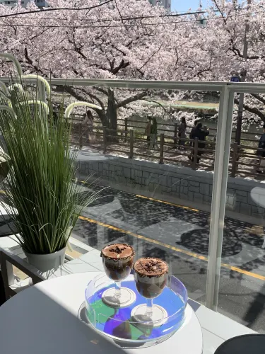 온천천 벚꽃 카페 아더와이즈 커피바