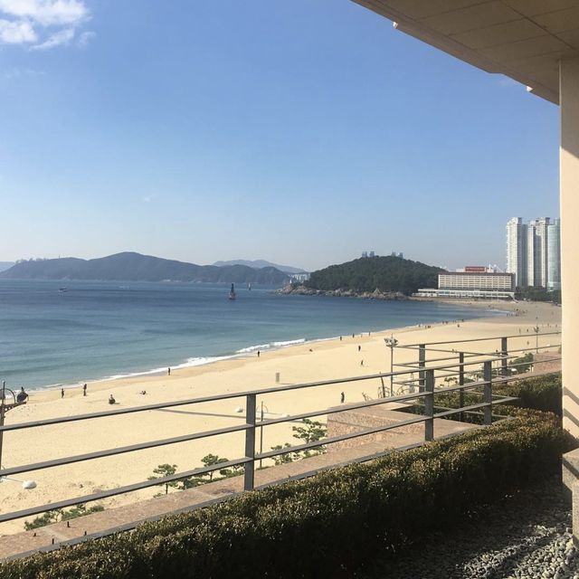 해운대 바로 앞에서 먹캉스가 가능한 “파라다이스 부산”