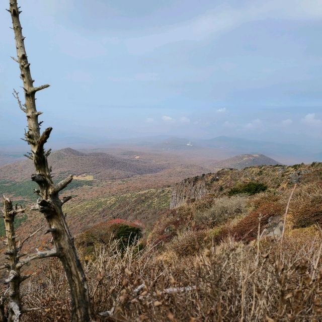 한라산 초보등산코스 - 영실탐방로코스