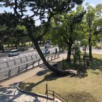 【興福寺】藤原氏の栄華。