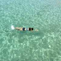 사람 없는 판포포구 가고싶은 사람🙋🏻‍♀️🏝🌴🌊