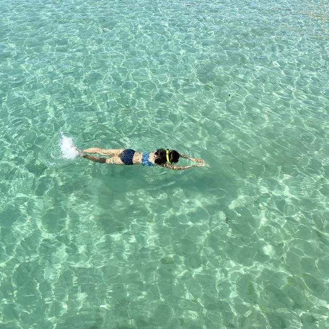사람 없는 판포포구 가고싶은 사람🙋🏻‍♀️🏝🌴🌊