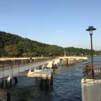 Lovely nature walk at Labrador Park