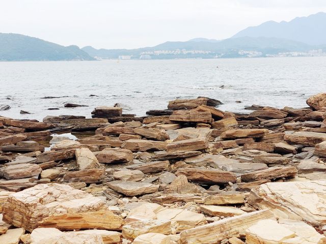 東平洲環島遊