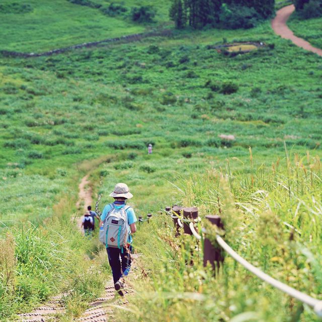 ⛰️ 초록빛의 오름산책을 더위가 막을 순 없지, 새별오름