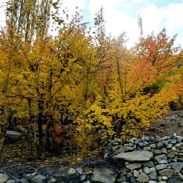 Autumn In Kargil, India