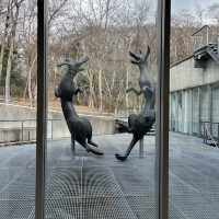 朝イチに美術館