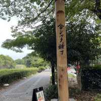 【愛知】名古屋城を取り囲む自然豊かな公園