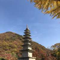 부산 단풍 명소, '범어사'