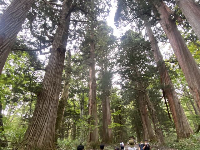 【長野のパワースポット】戸隠神社