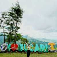 altTitle