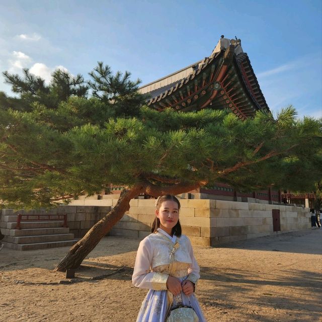 한국에 오면 한번라도 꼭 방문해야 하는 경복궁