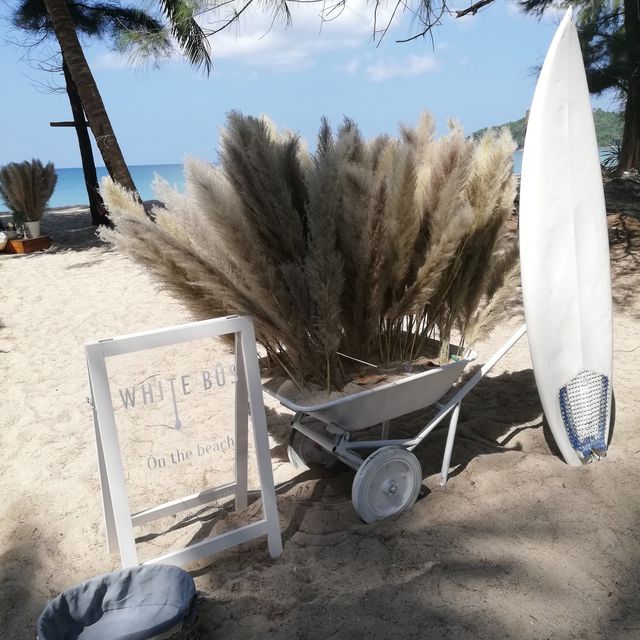 white bus on the beach 