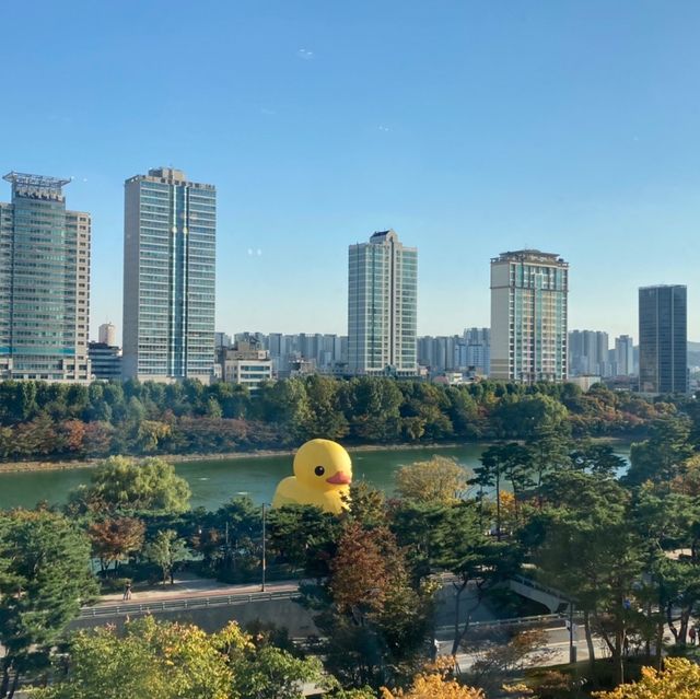 🇰🇷韓国 잠실 お洒落本屋さん📚石村湖を上から一望できる隠れスポットあり✨💕