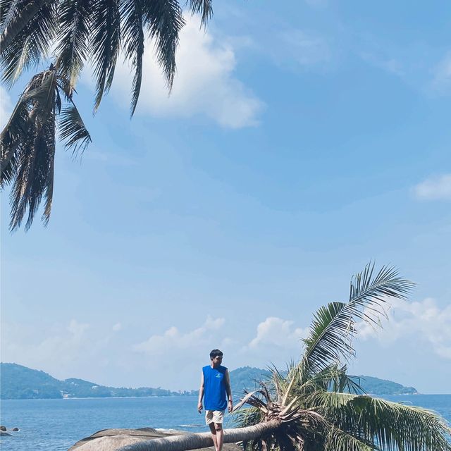 ถ่ายรูปกับต้นมะพร้าว ที่หาด ลับ ภูเก็ต