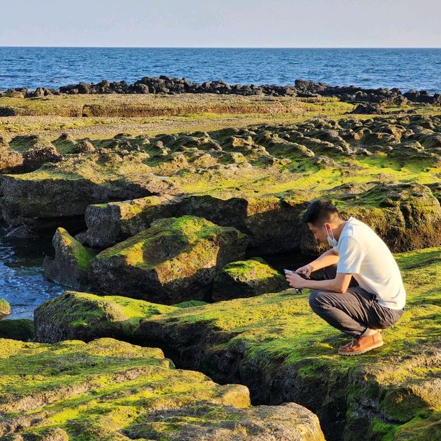 제주 서귀포시 사계해변🌊