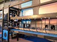 《天水圍免費戶外遊樂場~+WOO嘉湖樂園》