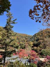 11월 여행지 추천:: 곤지암 화담숲🍁
