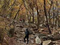 Autumn 🍂 foliage with lovely hiking trail 