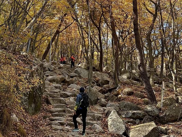 Autumn 🍂 foliage with lovely hiking trail 