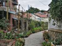 Historic Gulangyu Island 🏝🏛🏘