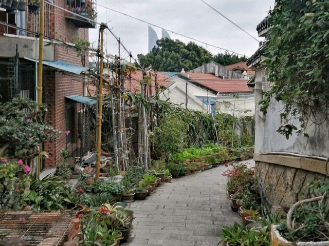 Historic Gulangyu Island 🏝🏛🏘