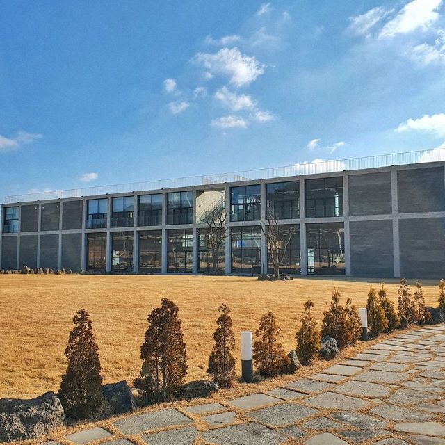 대부도 DBB 아메리카 느낌의 수제버거&맥주 브루어리
