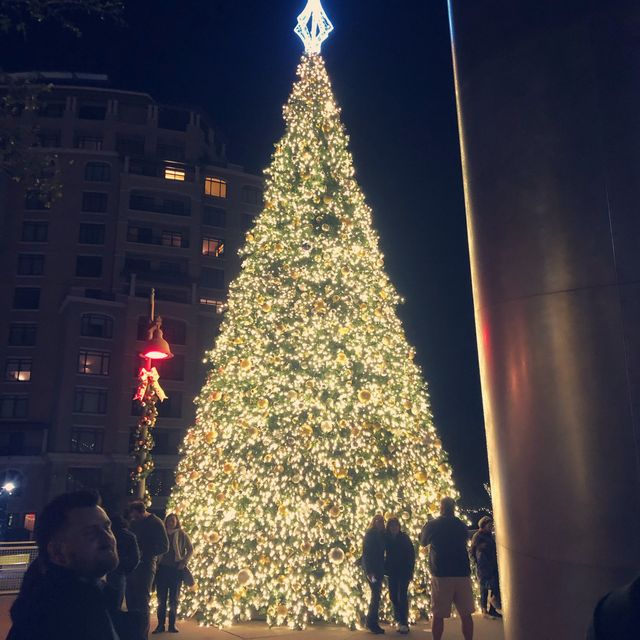 Canal Walk Way at Christmastime