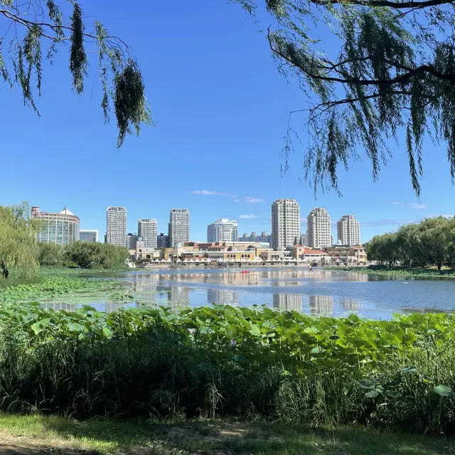 Morning Yoga in Chaoyang Park