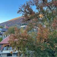シャキのホテルからの紅葉した山の景色が絶景