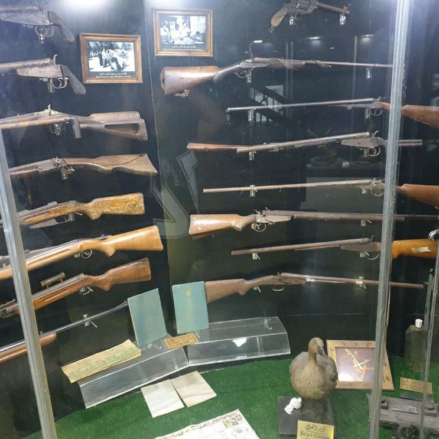 Amazing zooalogical museum 