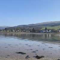 Fairlie beach