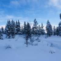 A Winter Wonderland in Finland☃️❄️🇫🇮