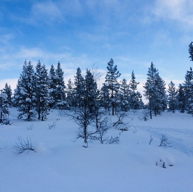 A Winter Wonderland in Finland☃️❄️🇫🇮