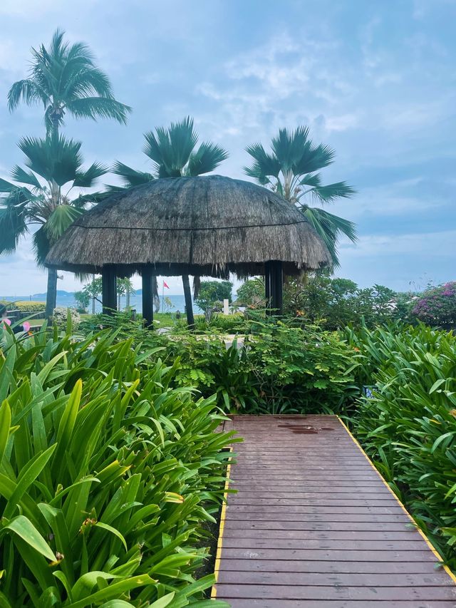 Relax at the Hilton, Yalong Bay, Sanya🌴🌿🥥