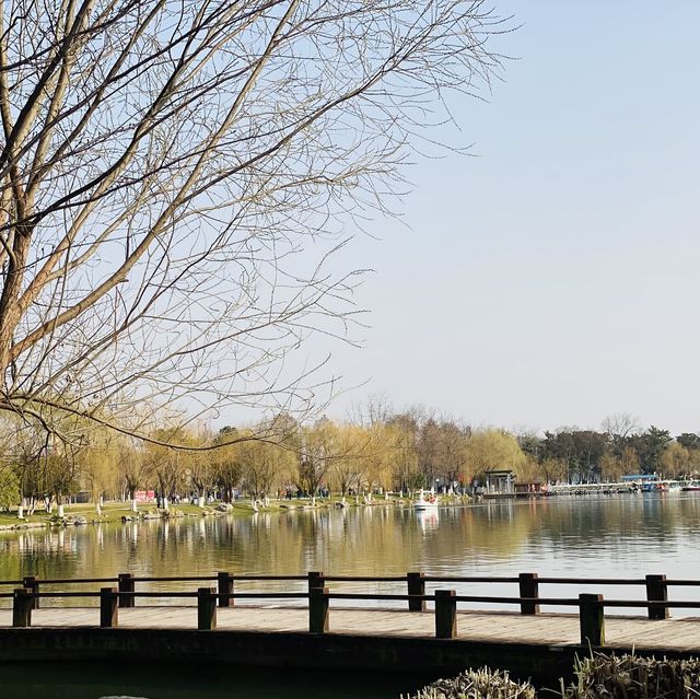 Xuanwu Lake In Spring Time